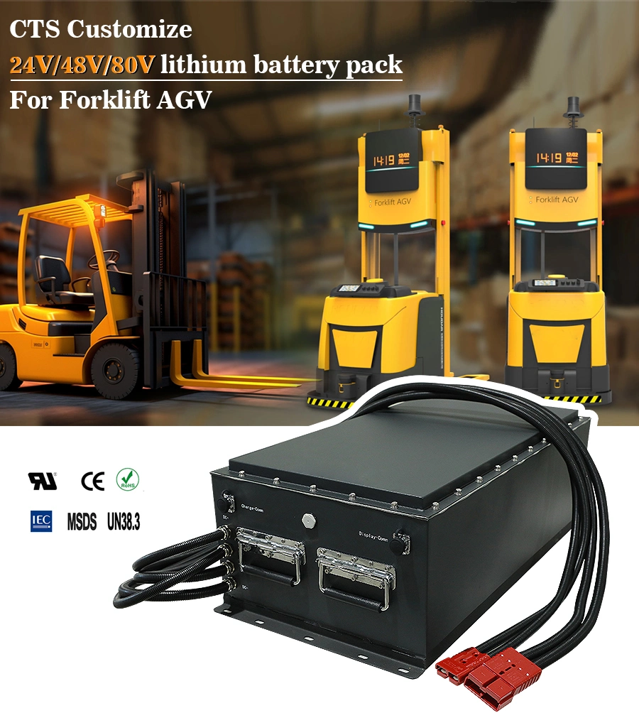 Cts Rechargeable 48V200ah 280ah 300ah LiFePO4 Lithium Ion Battery with Bluetooth for Agv Forklift