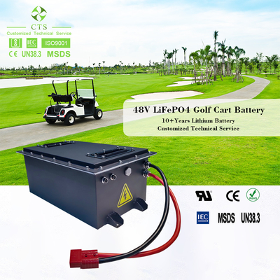 CTS lfp battery pack ODM 48v 100ah 160Ah 200Ah 300Ah lithium battery pack for golf cart ev